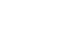 Micro Synth Image